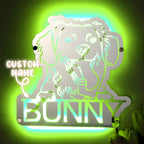 Gepersonaliseerde Huisdier Spiegel met Naam en Verlichting