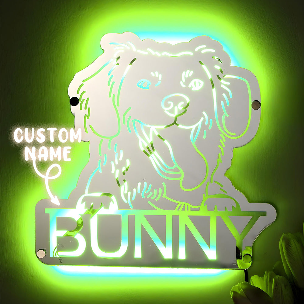 Gepersonaliseerde Huisdier Spiegel met Naam en Verlichting