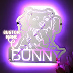 Gepersonaliseerde Huisdier Spiegel met Naam en Verlichting