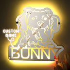 Gepersonaliseerde Huisdier Spiegel met Naam en Verlichting