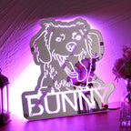 Gepersonaliseerde Huisdier Spiegel met Naam en Verlichting