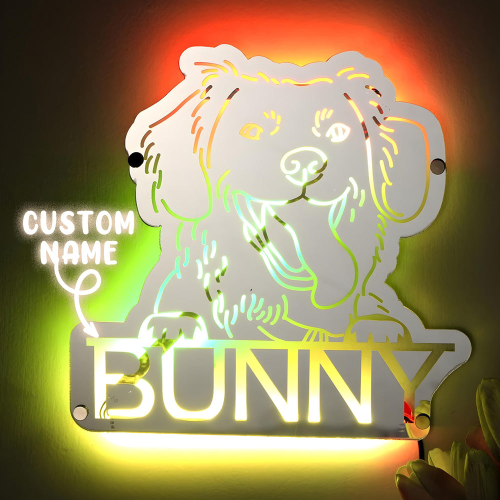 Gepersonaliseerde Huisdier Spiegel met Naam en Verlichting