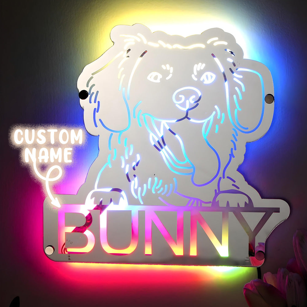 Gepersonaliseerde Huisdier Spiegel met Naam en Verlichting