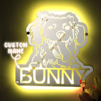 Gepersonaliseerde Huisdier Spiegel met Naam en Verlichting