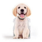 Gepersonaliseerd Schuddend Hoofd Ornament met Foto – Automatische Dashboard- of Bureaudecoratie