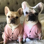 Gepersonaliseerd Kussen – Foto Kussen, Perfect Cadeau voor Dierenliefhebbers & Woondecoratie