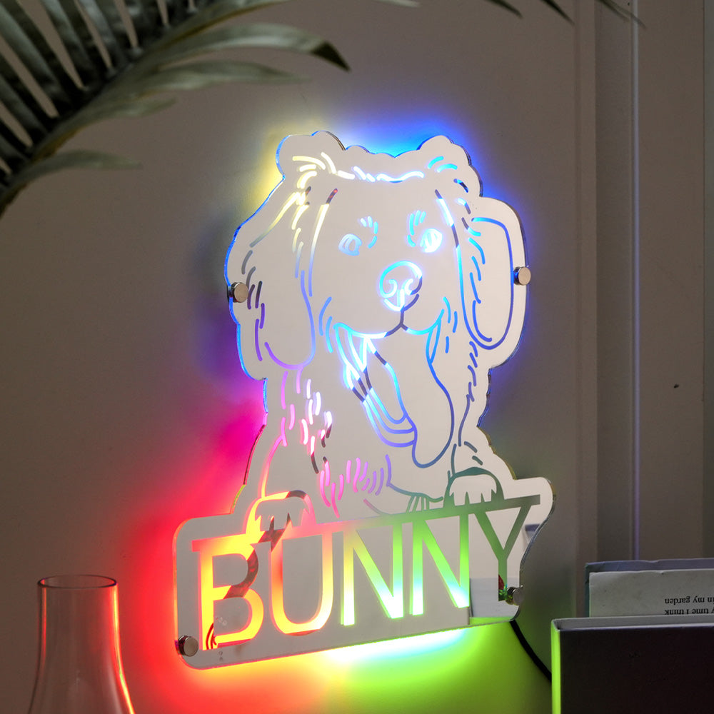 Gepersonaliseerde Huisdier Spiegel met Naam en Verlichting