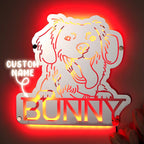 Gepersonaliseerde Huisdier Spiegel met Naam en Verlichting